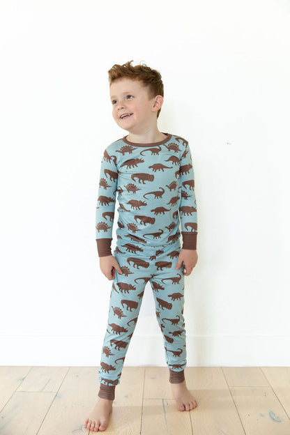 BROWN DINO | LONG SLEEVE