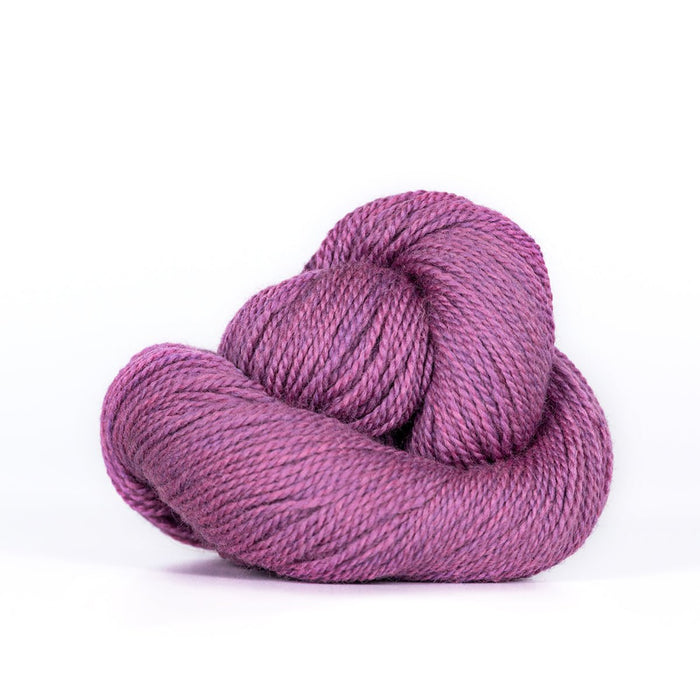 519 - Orchid Heather