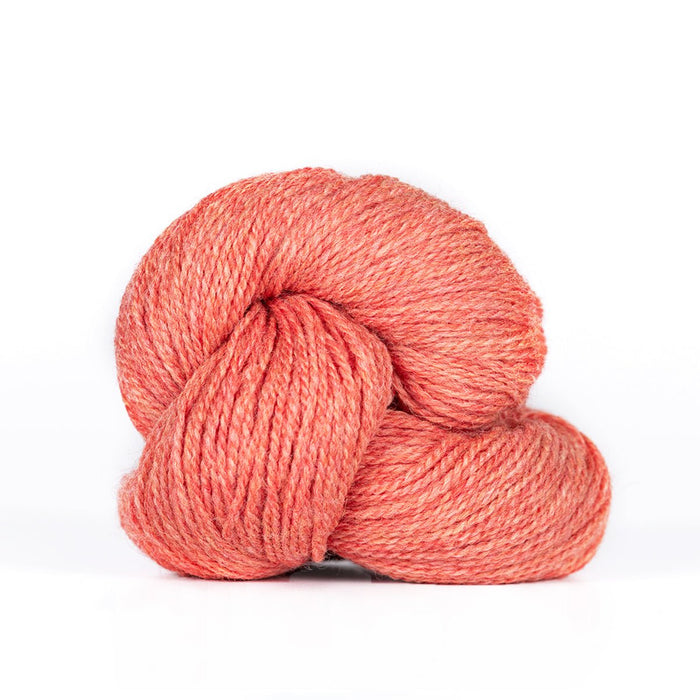 667 - Coral Heather (Discontinued)
