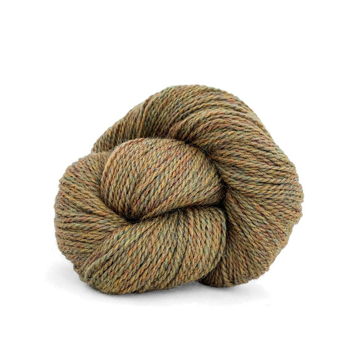 703 - Autumn Heather