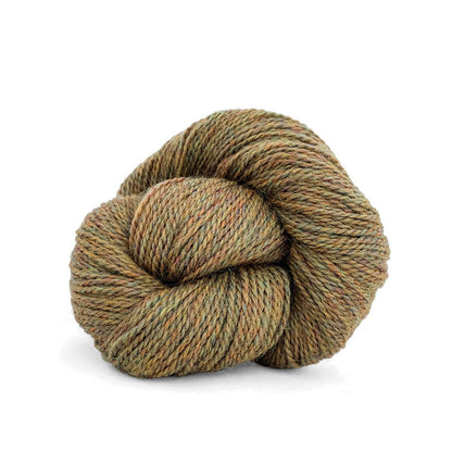 703 - Autumn Heather
