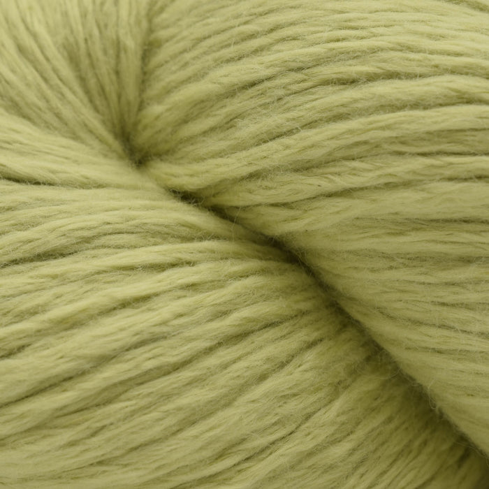 24 - Praying Mantis (Discontinued)
