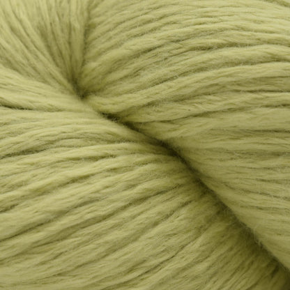 24 - Praying Mantis (Discontinued)