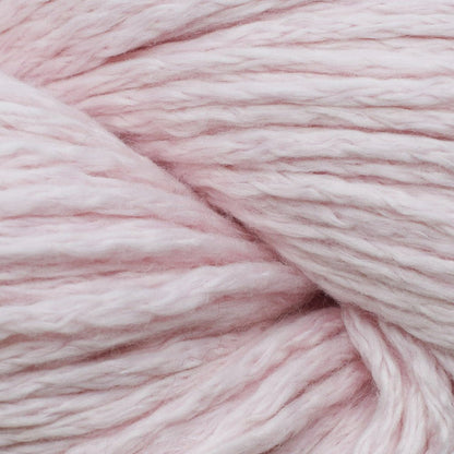 20 - Andean Flamingo
