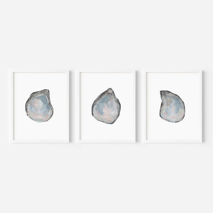 Drifted Oysters Triptych - Set of 3 - Jetty Home