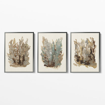 Fall Botanical Study, No. 1 - Set of 3 - Jetty Home