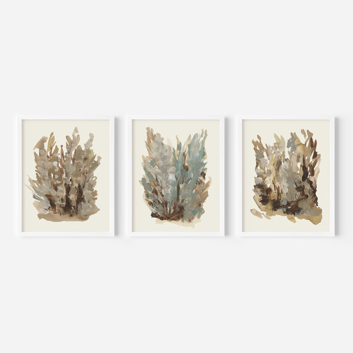 Fall Botanical Study, No. 1 - Set of 3 - Jetty Home