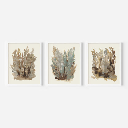 Fall Botanical Study, No. 1 - Set of 3 - Jetty Home