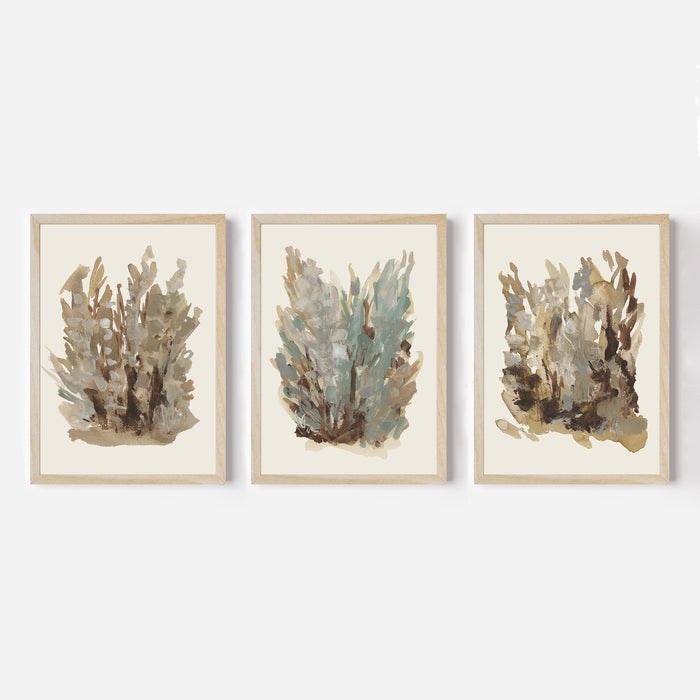 Fall Botanical Study, No. 1 - Set of 3 - Jetty Home