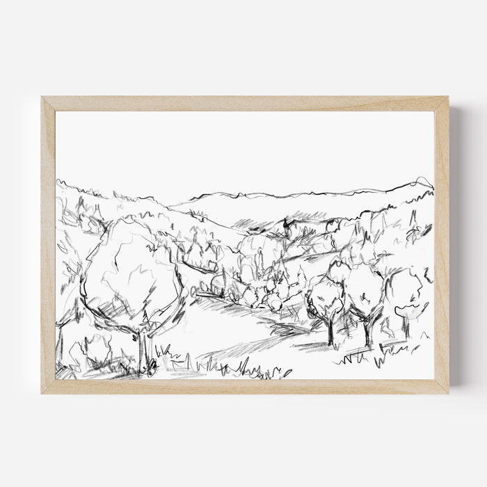 Forest Views Illustration - Jetty Home