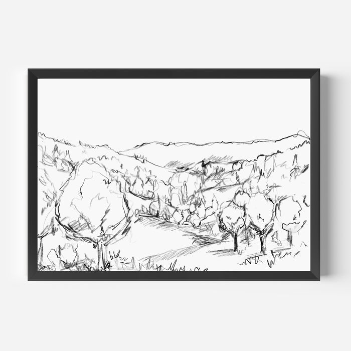 Forest Views Illustration - Jetty Home