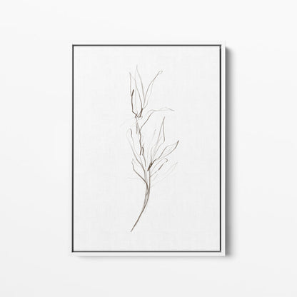 Minimalist Fall Plant Study, No. 1 - Jetty Home