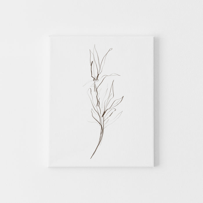 Modern Botanical Illustration Plants Wall Art Print or Canvas - Jetty Home