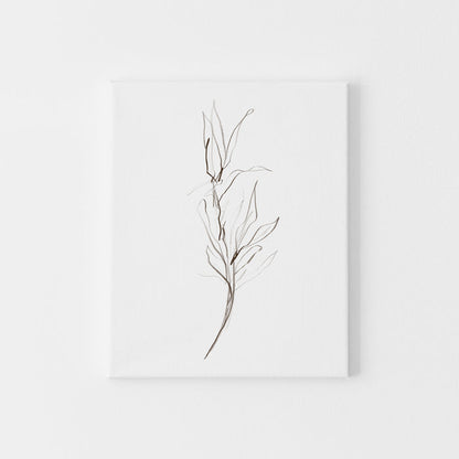 Modern Botanical Illustration Plants Wall Art Print or Canvas - Jetty Home