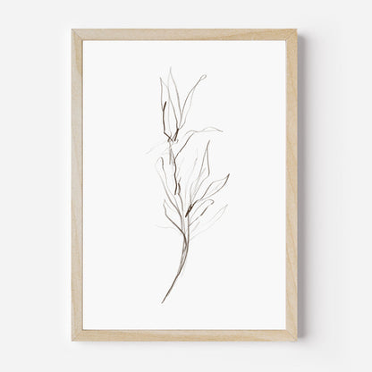 Minimalist Fall Plant Study, No. 1 - Jetty Home