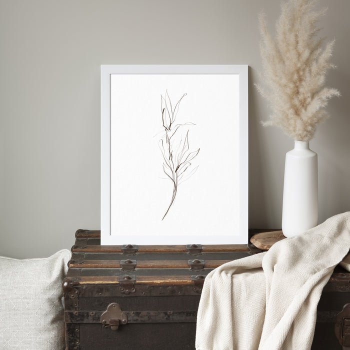 Minimalist Fall Plant Study, No. 1 - Jetty Home