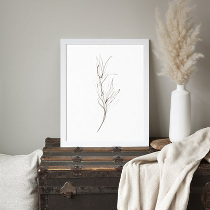 Minimalist Fall Plant Study, No. 1 - Jetty Home