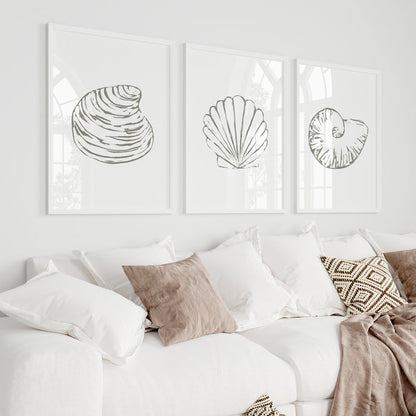Minimalist Seashell Trio, No. 1 - Set of 3 - Jetty Home