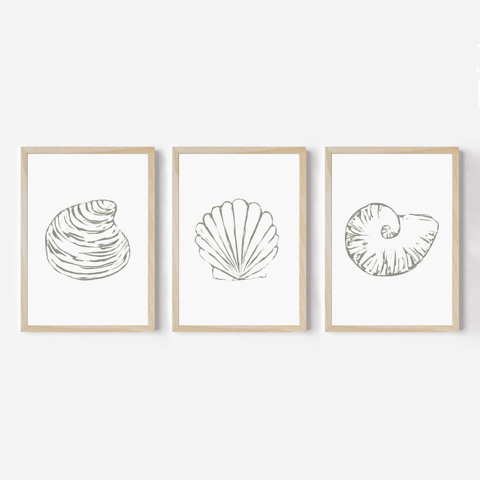 Minimalist Seashell Trio, No. 1 - Set of 3 - Jetty Home