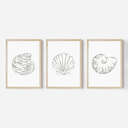 Minimalist Seashell Trio, No. 1 - Set of 3 - Jetty Home