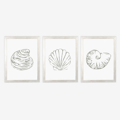 Minimalist Seashell Trio, No. 1 - Set of 3 - Jetty Home
