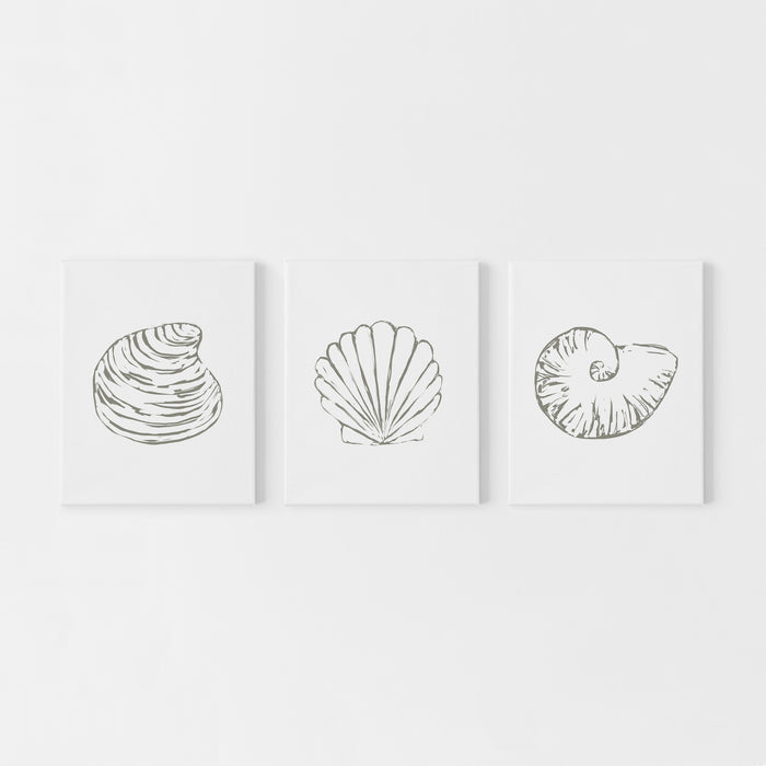 Minimalist Seashell Trio 1 - Set of 3 - Art Prints or Canvas - Jetty Home