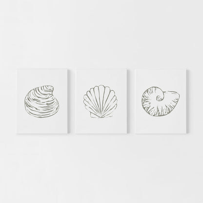 Minimalist Seashell Trio 1 - Set of 3 - Art Prints or Canvas - Jetty Home