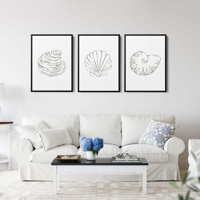 Minimalist Seashell Trio, No. 1 - Set of 3 - Jetty Home