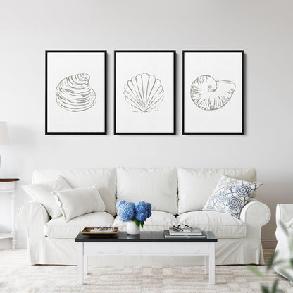 Minimalist Seashell Trio, No. 1 - Set of 3 - Jetty Home