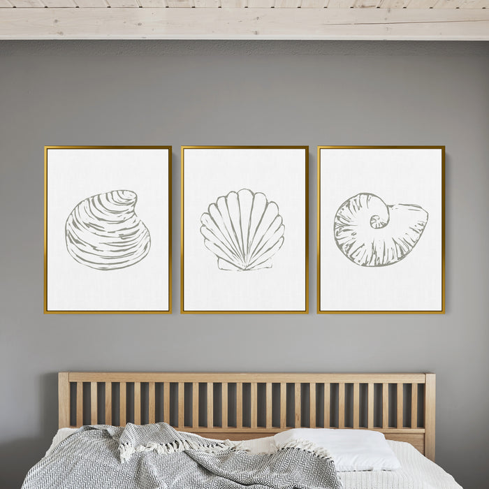 Minimalist Seashell Trio, No. 1 - Set of 3 - Jetty Home
