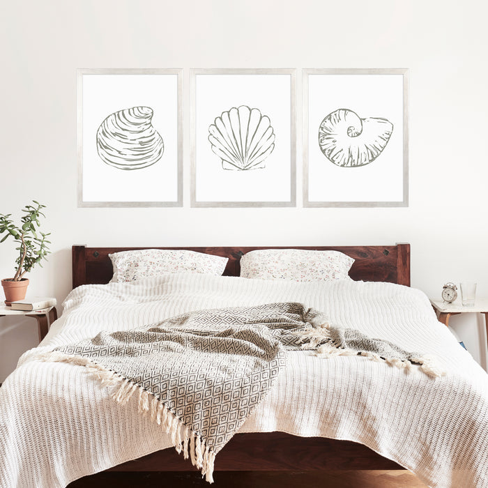Minimalist Seashell Trio, No. 1 - Set of 3 - Jetty Home
