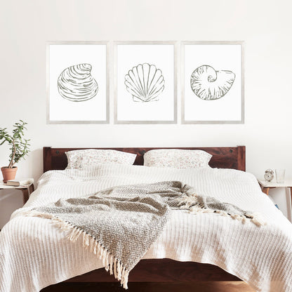 Minimalist Seashell Trio, No. 1 - Set of 3 - Jetty Home