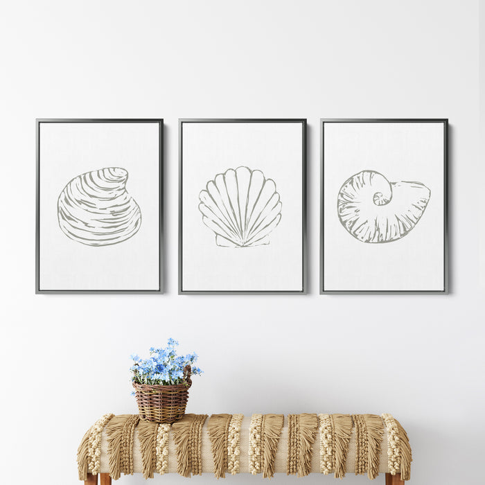 Minimalist Seashell Trio, No. 1 - Set of 3 - Jetty Home