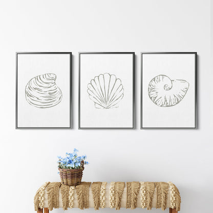 Minimalist Seashell Trio, No. 1 - Set of 3 - Jetty Home