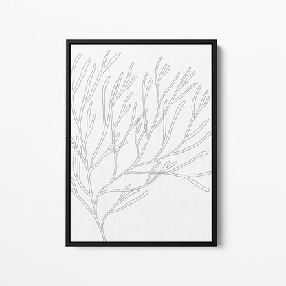 Minimalist Seaweed Illustration, No. 1 - Jetty Home