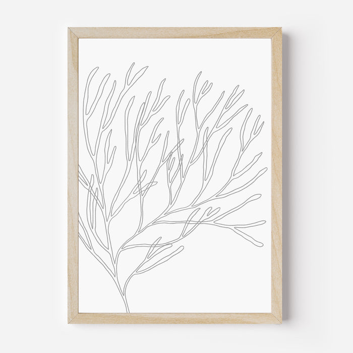 Minimalist Seaweed Illustration, No. 1 - Jetty Home