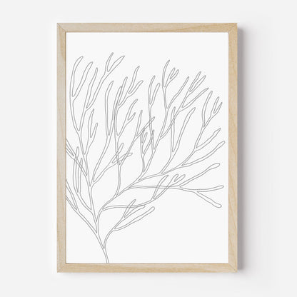 Minimalist Seaweed Illustration, No. 1 - Jetty Home