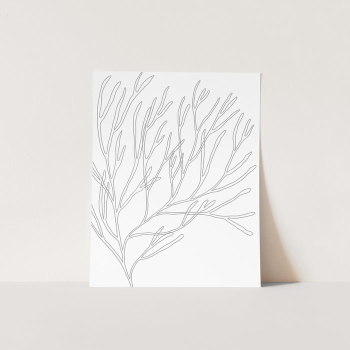 Minimalist Seaweed Illustration, No. 1 - Jetty Home