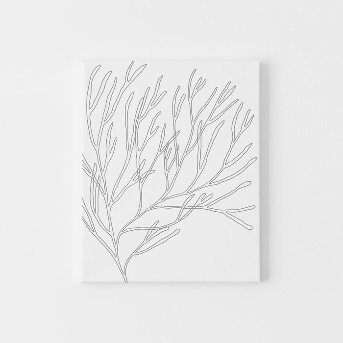 Modern Minimalist Seaweed Beach Decor Wall Art Print or Canvas - Jetty Home