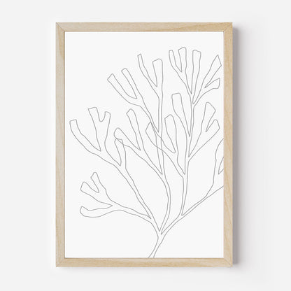 Minimalist Seaweed Illustration, No. 2 - Jetty Home