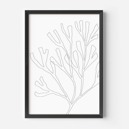 Minimalist Seaweed Illustration, No. 2 - Jetty Home