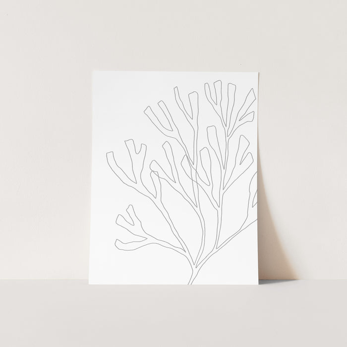 Minimalist Seaweed Illustration, No. 2 - Jetty Home