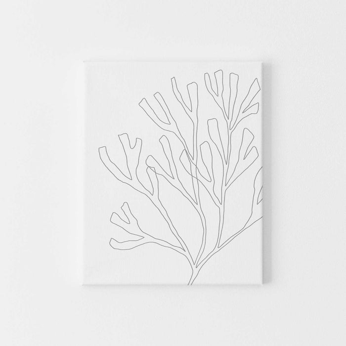 Modern Gray Seaweed Beach Decor Wall Art Print or Canvas - Jetty Home