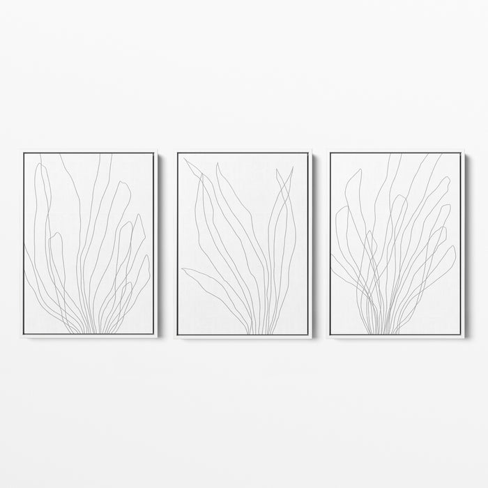 Modern Minimalist Seaweed Illustration - Set of 3 - Jetty Home
