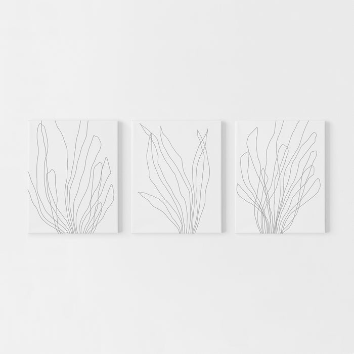 Modern Minimalist Seaweed Illustration Triptych Set of 3 Wall Art Prints or Canvas - Jetty Home