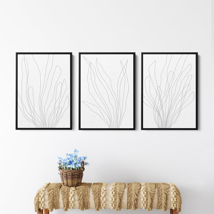Modern Minimalist Seaweed Illustration - Set of 3 - Jetty Home