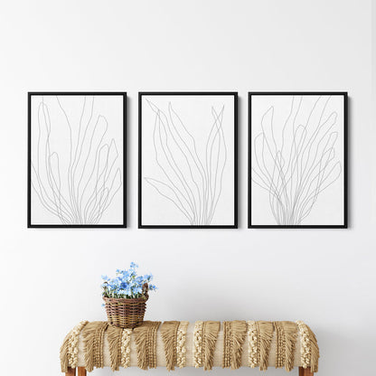 Modern Minimalist Seaweed Illustration - Set of 3 - Jetty Home