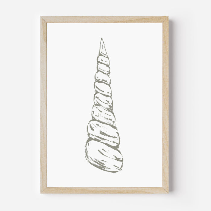 Modern Seashell, No. 1 - Jetty Home