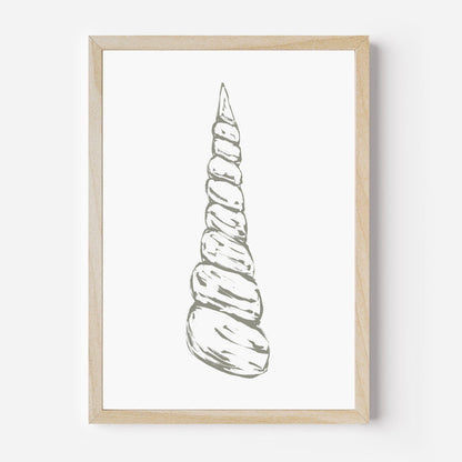 Modern Seashell, No. 1 - Jetty Home