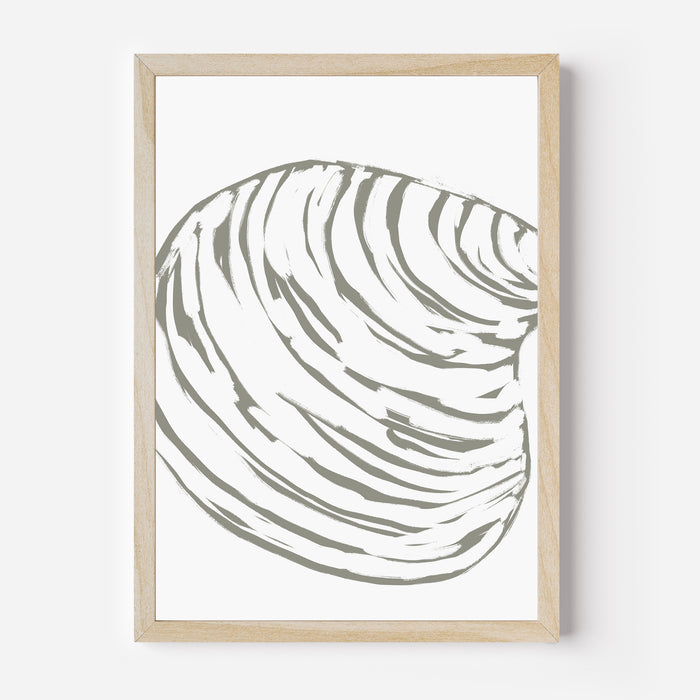 Modern Seashell Study, No. 1 - Jetty Home